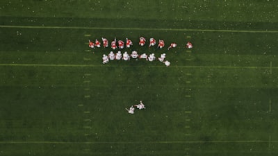 نتائج مباريات الدوري المصري الممتاز اليوم